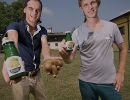 Immagine 1 di Kiwi di Treviso