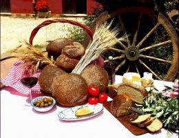 Immagine 4 di PANE NERO DI CASTELVETRANO