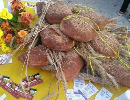 Immagine 5 di PANE NERO DI CASTELVETRANO