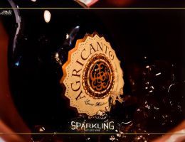 Immagine 1 di AGRICANTO LIQUORE