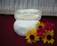 Immagine 1 di MONTEL BIANCO