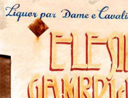 Immagine 4 di ELISIR GAMBRINUS®