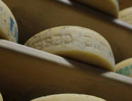 Immagine 2 di MONTE CESEN