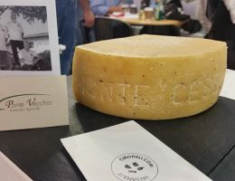 Immagine 3 di MONTE CESEN