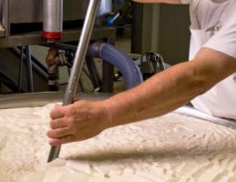 Immagine 4 di MONTE CESEN