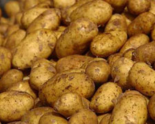 Immagine 1 di La Patata del Montello