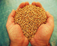 Immagine 1 di COUS COUS DI SEMOLA DI GRANO GROSSA