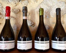 Immagine 1 di VALDOBBIADENE PROSECCO SUPERIORE D.O.C.G. BRUT