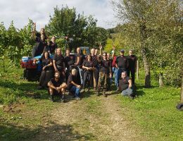 Immagine 4 di VALDOBBIADENE PROSECCO SUPERIORE D.O.C.G. BRUT