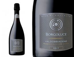 Immagine 1 di VALDOBBIADENE PROSECCO SUPERIORE D.O.C.G. RIVE DI COLLALTO BRUT