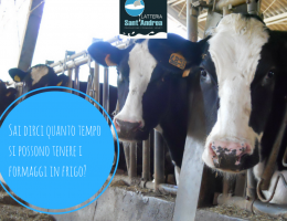 Immagine 5 di FORMAJO IMBRIAGO