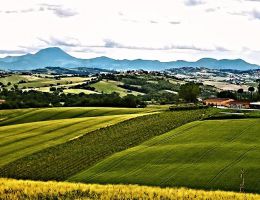 Immagine 3 di MARCHE ROSSOI.G.T. BISACCIONE LINEA SELEZIONI