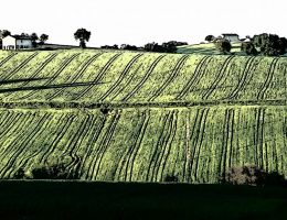 Immagine 4 di MARCHE ROSSOI.G.T. BISACCIONE LINEA SELEZIONI