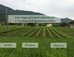 Immagine 4 di PIERA DOLZA TORCHIATO DI FREGONA COLLI DI CONEGLIANO D.O.C.G.