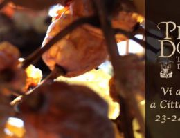 Immagine 5 di PIERA DOLZA TORCHIATO DI FREGONA COLLI DI CONEGLIANO D.O.C.G.