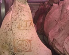 Immagine 1 di PROSCIUTTO CRUDO DI SUINO NERO SICILIANI LU N'ZIRU SALUMI LIPARI