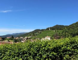 Immagine 2 di VALDOBBIADENE PROSECCO SUPERIORE D.O.C.G. VIGNETO DELLA RIVA DI SAN FLORIANO