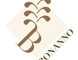 Immagine 3 di OLIVE DA TAVOLA NOCELLARA DEL BELICE D.O.P.