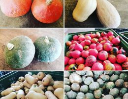 Immagine 2 di ORTAGGI E FRUTTA METODO BIO AGRI L'AMBIENTE NATURALE