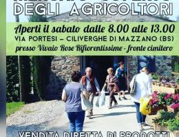 Immagine 4 di ORTAGGI E FRUTTA METODO BIO AGRI L'AMBIENTE NATURALE
