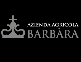 Immagine 2 di OLIO EXTRAVERGINE DI OLIVA D.O.P. VALLI TRAPANESI BLEND DI CATEGORIA SUPERIORE BARBARA