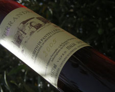 Immagine 1 di PASSITO DI PANTELLERIA D.O.C. FERRANDES