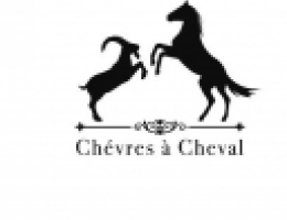 Immagine 2 di TOME DI CAPRA ZATICON D'OR CHECRES A CHEVAL