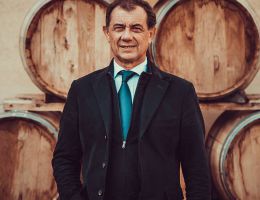 Immagine 3 di OLIO EXTRAVERGINE DI OLIVA D.O.P. NOCELLARA DEL BELICE DI CATEGORIA SUPERIORE