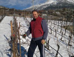 Immagine 1 di VALLE D'AOSTA PETIT ROUGE D.O.C. LE VIGGNI DE CREST