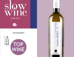 Immagine 1 di TERRE SICILIANE CATARRATTO I.G.P.