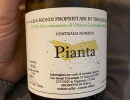 Immagine 1 di ETNA BIANCO D.O.C. PIANTA