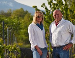 Immagine 3 di ETNA BIANCO D.O.C. PIANTA