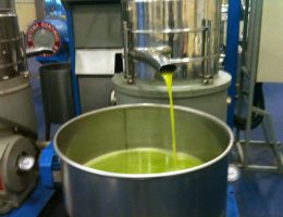 Immagine 3 di OLIO EXTRAVERGINE DI OLIVA D.O.P. NOCELLARA DEL BELICE QUALITA' SUPERIORE BERLINGERI