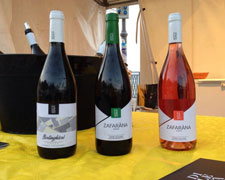 Immagine 1 di TERRE SICILIANE GRILLO I.G.T. BIO BERLINGHIERI