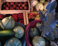 Immagine 1 di Frutta e Verdura del Territorio