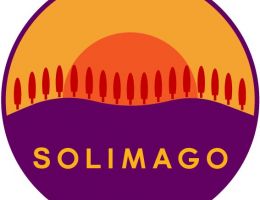 Immagine 2 di OLIO EXTRAVERGINE DI OLIVA BLEND DI CATEGORIA SUPERIORE AGRI SOLIMAGO