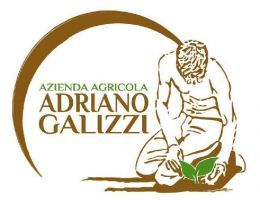 Immagine 2 di GALLETTE ALLA FARINA DI MAIS SPINATO