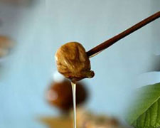 Immagine 1 di DOLCI AL FICO BIANCO DEL CILENTO D.O.P.