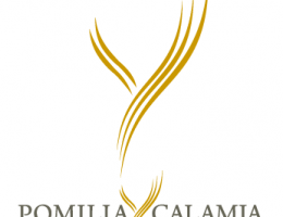 Immagine 2 di MARSALA SUPERIORE AMBRA SECCO D.O.C.