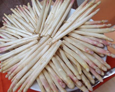 Immagine 1 di ASPARAGO BIANCO DI CANTELLO I.G.P. AGRICOLA BIANCHI ANGELO