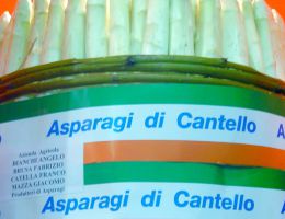 Immagine 4 di ASPARAGO BIANCO DI CANTELLO I.G.P. AGRICOLA BIANCHI ANGELO