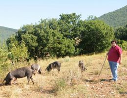 Immagine 5 di PROSCIUTTO CRUDO DI MAIALE BRADO DI NORCIA
