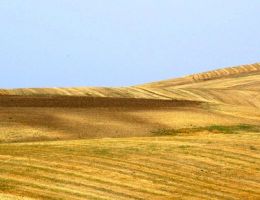 Immagine 3 di PASTA ARTIGIANALE TERRE D'IRSINA DI QUALITA' SUPERIORE