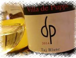 Immagine 1 di TAJ BLANC VILLA DE PUPPI