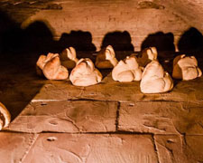 Immagine 1 di PANE DI MATERA I.G.P.