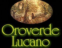 Immagine 1 di OLIO EXTRAVERGINE DI OLIVA CULTIVAR LA MAJATICA DI FERRANDINA DI QUALITA' SUPERIORE OROVERDE LUCANO