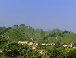 Immagine 2 di VALDOBBIADENE SUPERIORE DI CARTIZZE D.O.C.G. DRY DIRUPO SELECTION