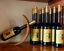 Immagine 1 di E.V.O.  D.O.P. LUCCA