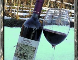 Immagine 1 di I.G.T. VIGNETI DELLE DOLOMITI TEROLDEGO RUDI VINDIMIAN