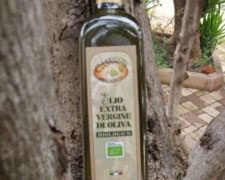 Immagine 1 di OLIO EXTRA VERGINE DI OLIVA DEL GARGANO